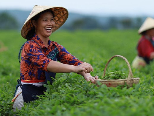 Smiling lady in a straw hat working in a field of green