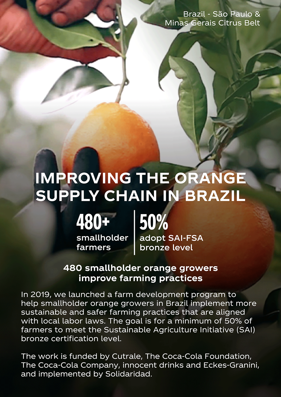 Orange supply in Brazil